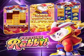 shwecasino apk Platform Interface